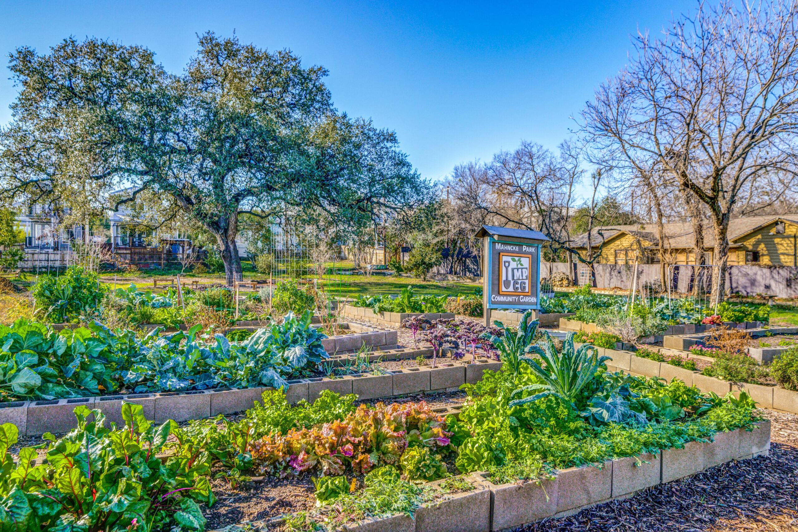Photo Highlights: Mahncke Community Garden
