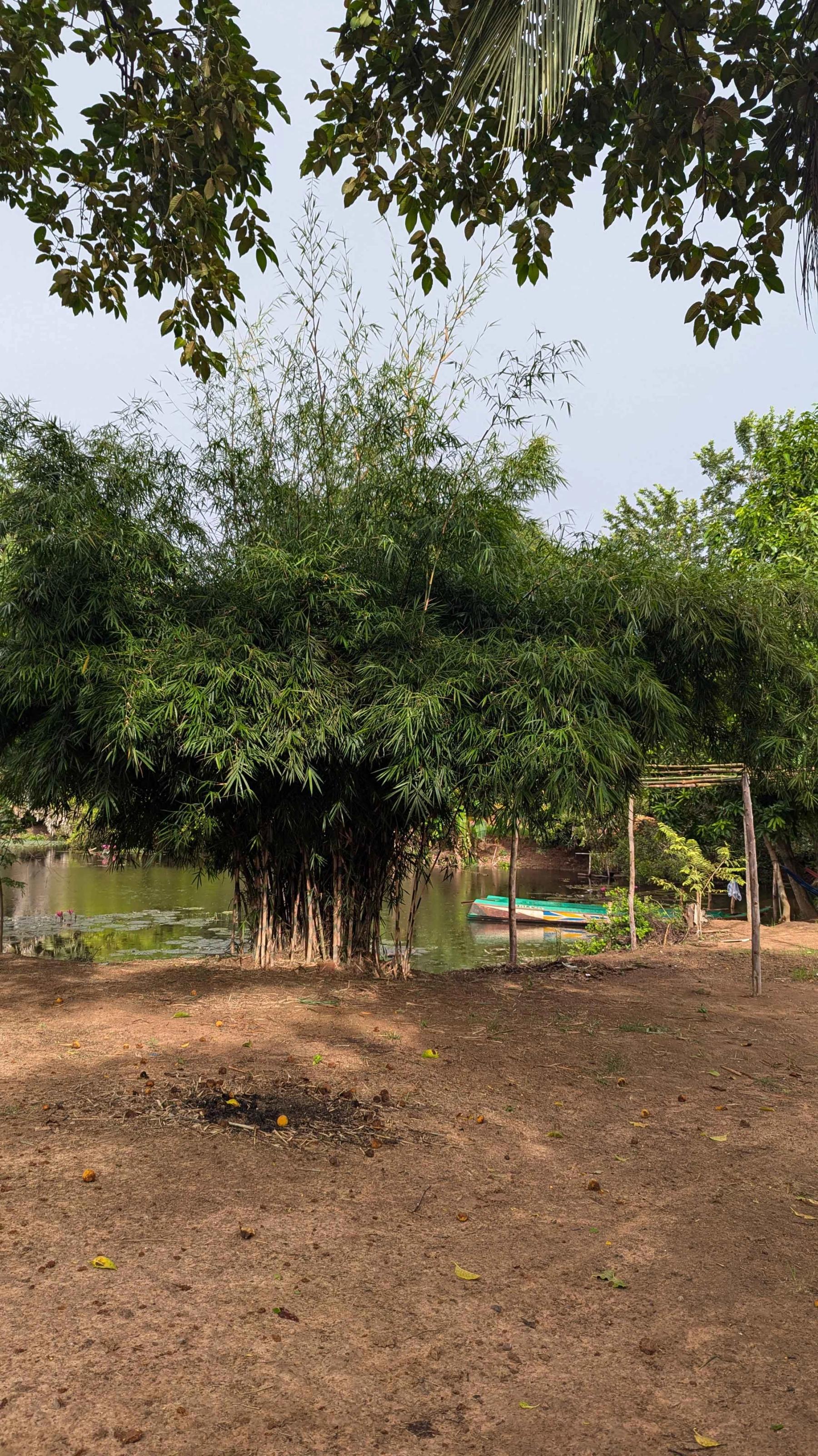 A moment at ATBB — 25