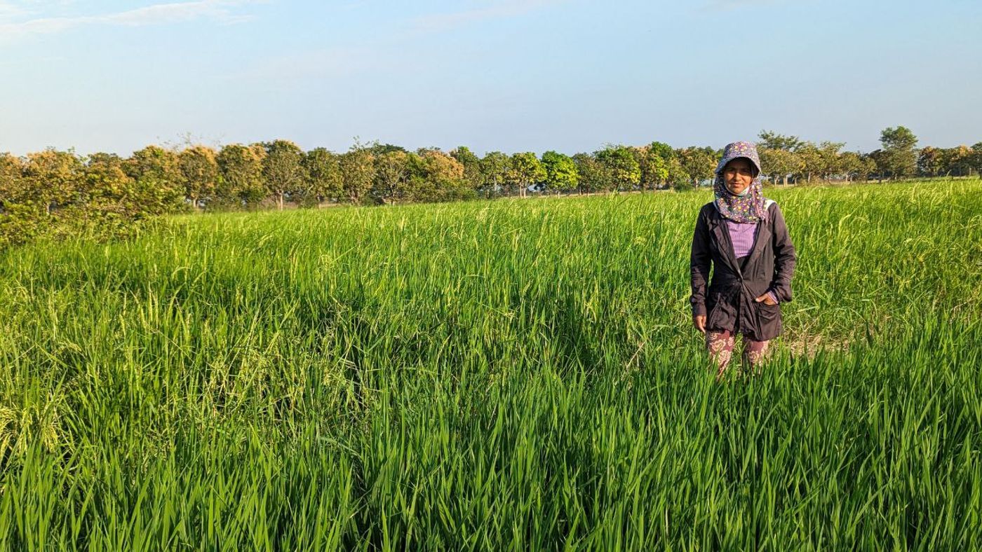 Walk a working farm