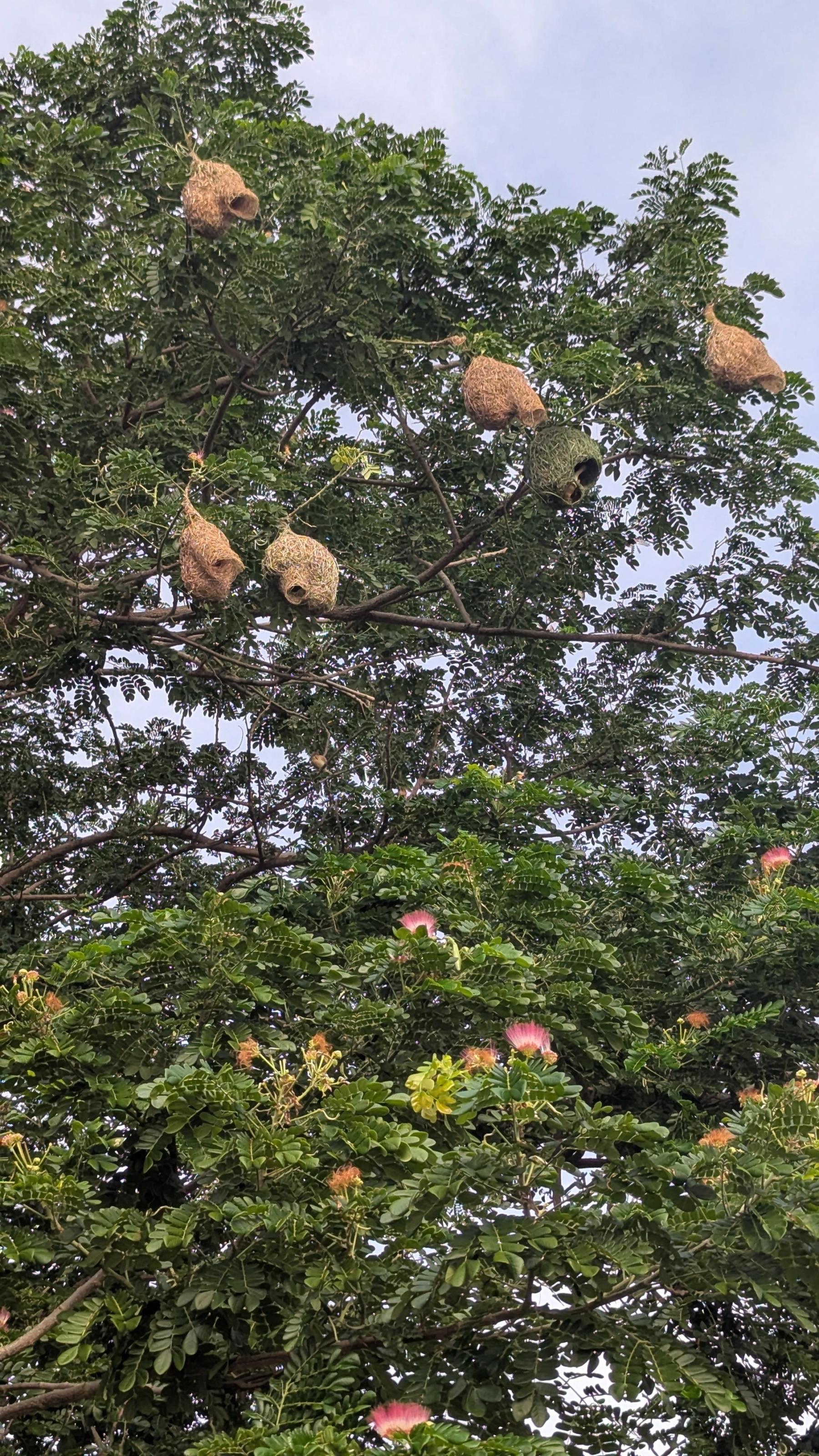 A moment at ATBB — 50