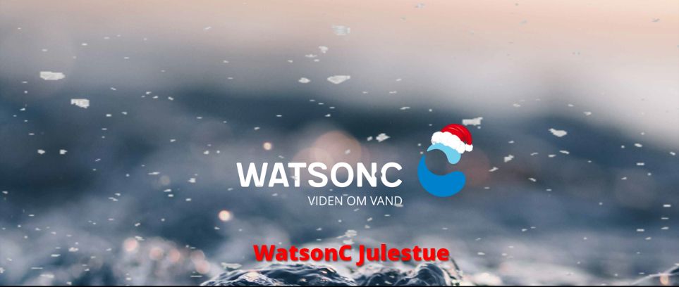 Faglig julestue hos WatsonC