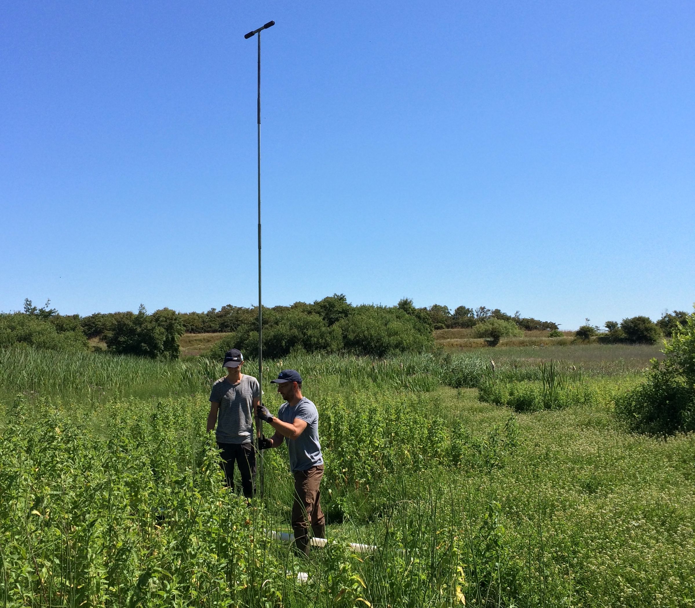 Hydrologiprojekter i Thisted Kommune under Rigkilde-Life projektet