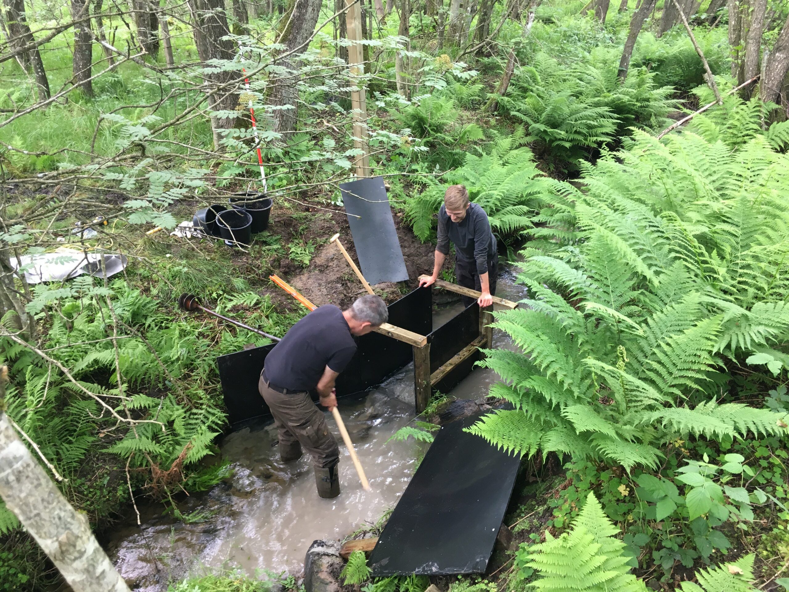 Overvågning af natur og vandløb ved Depot Brinkhus