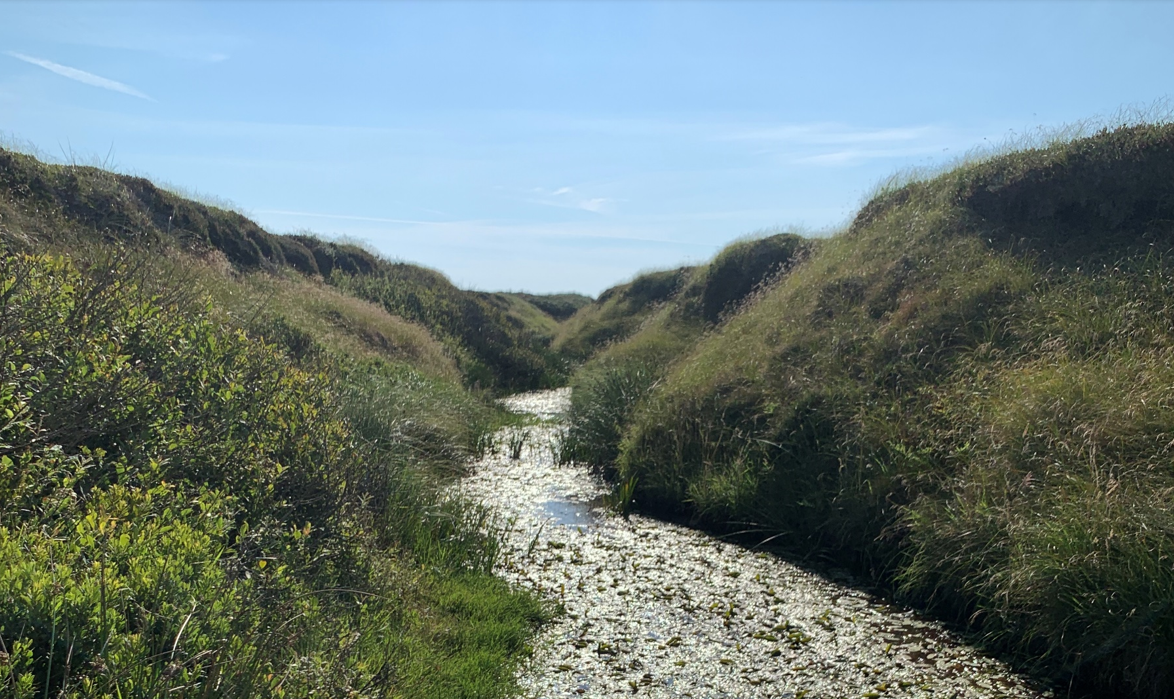 Hydrologisk forundersøgelse i Naturnationalpark Hanstholm