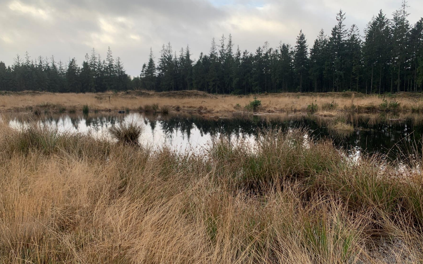 Hydrologisk forundersøgelse Naturnationalpark Stråsø