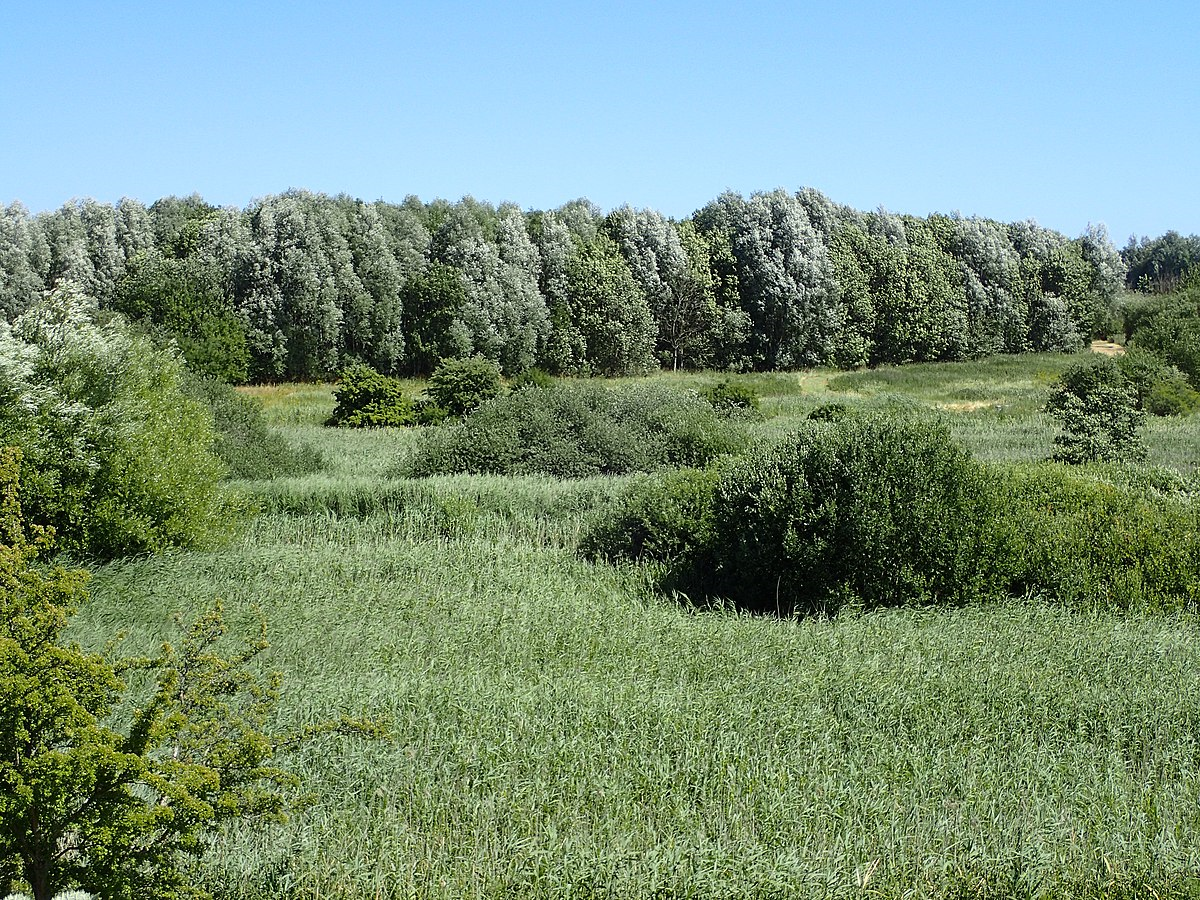 Dansk Naturindikator – deltagelse i forskningsprojekt