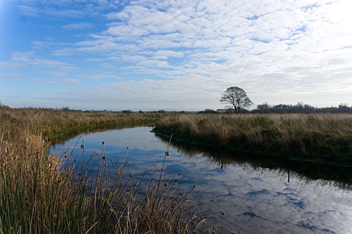 Naturen – En rentabel del af landbruget