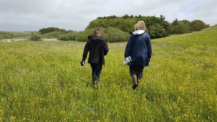 Hellerød Kær – Hydrologisk forundersøgelse og detailprojekt