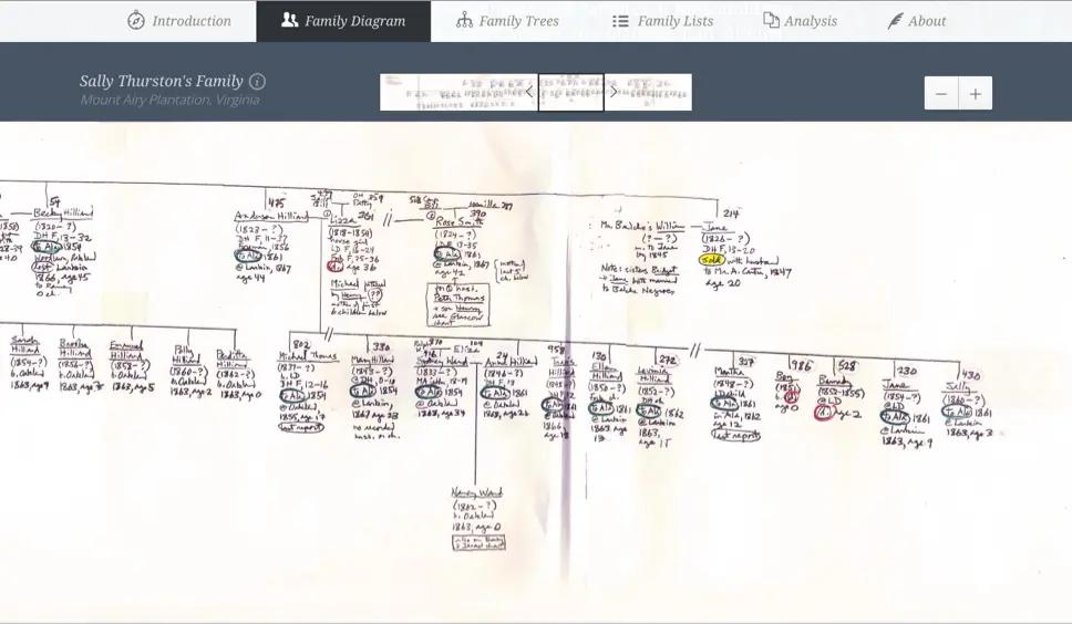 A screenshot of A Tale of Two Plantations' "Family Diagram" page.