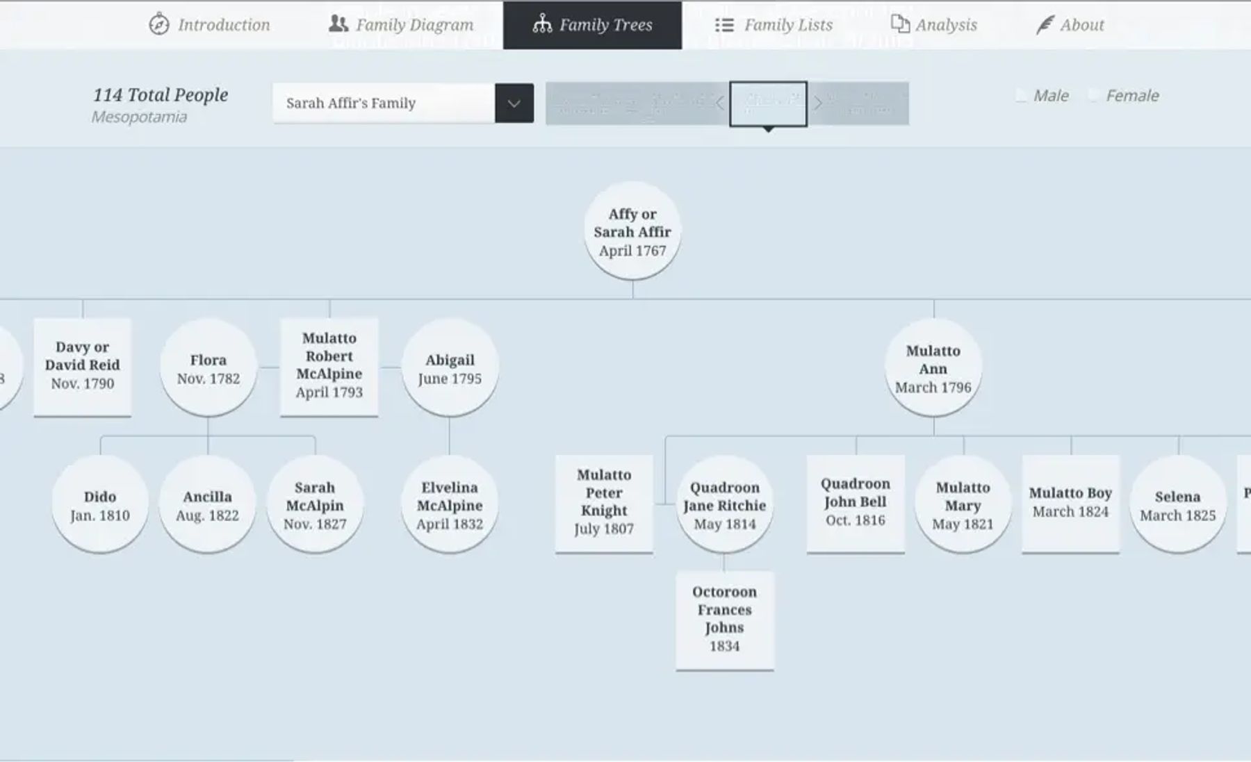 A screenshot of A Tale of Two Plantations' "Family Trees" page.