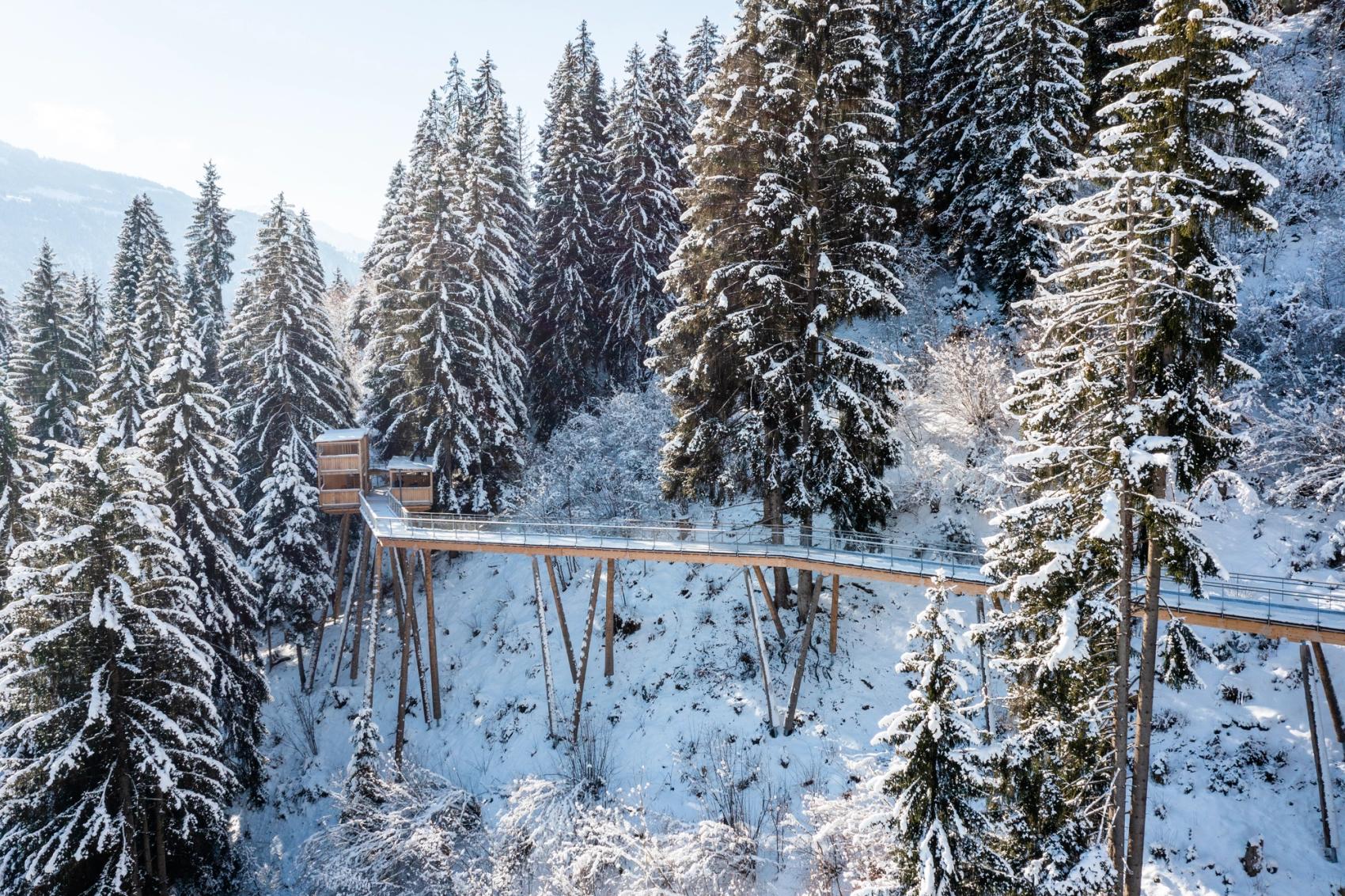 Baumwipfelpfad Tagesticket