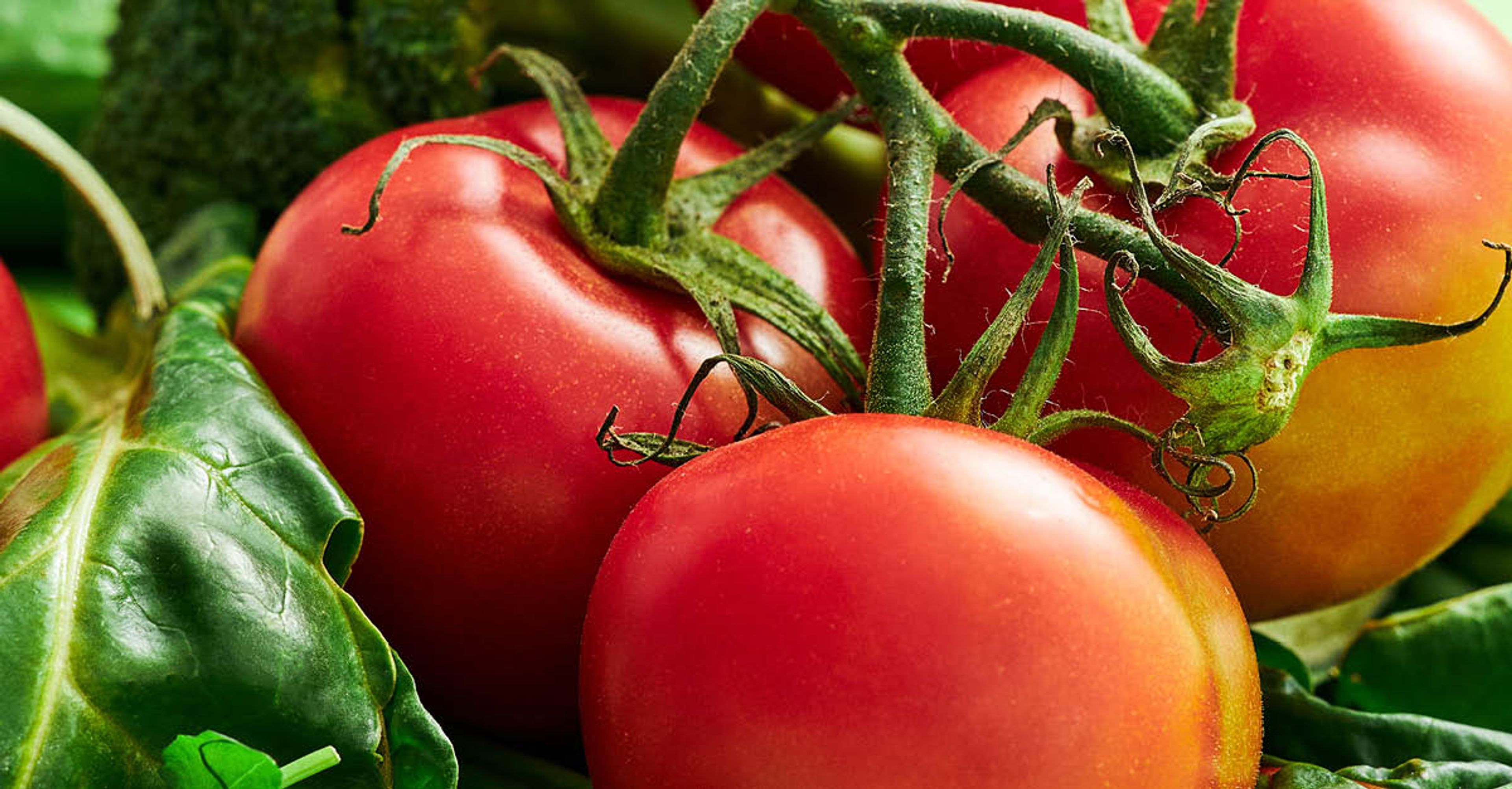 Hur man lagrar tomater korrekt – Linas Matkasse tipsar