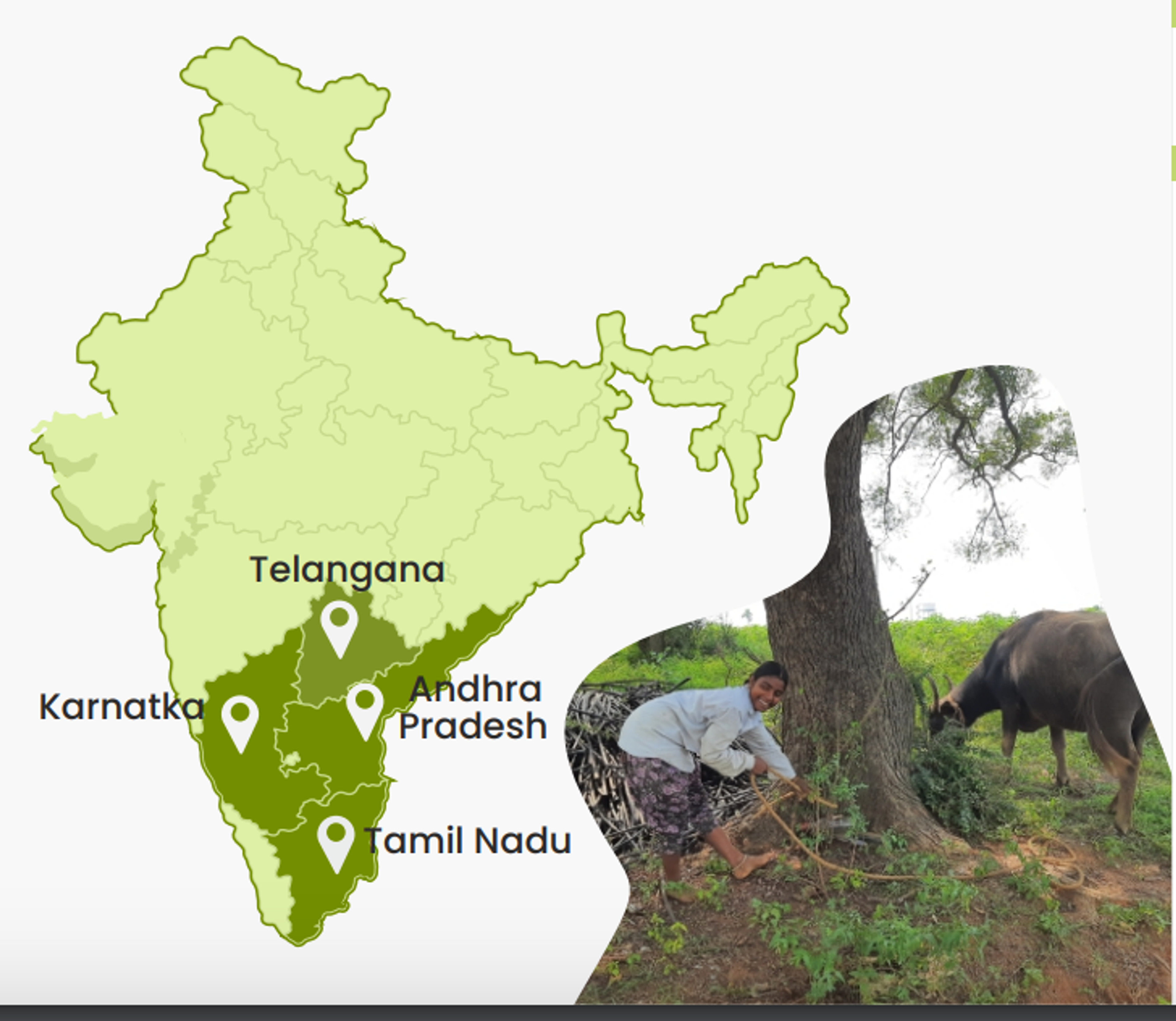 Telangana - Siddipet, Jangaon, Narayanpet, Yadadri Bhuvanagiri, Hanamkonda. Andhra Pradesh, Karnataka,TamilNadu