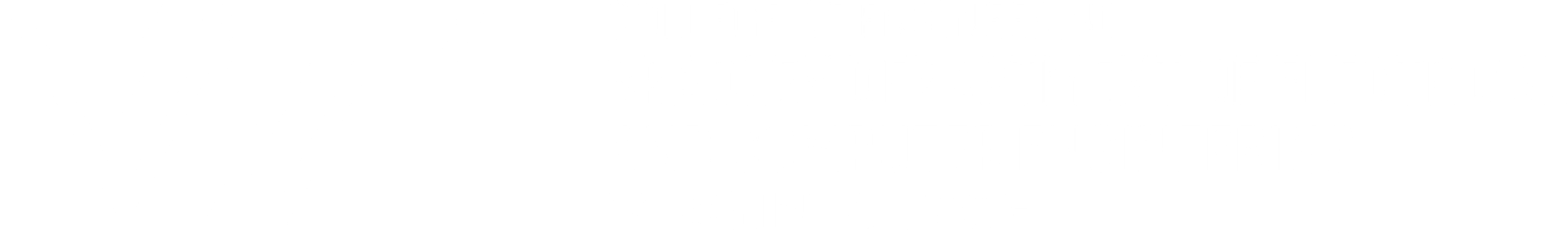 Bradley Department of Electrical and Computer Engineering
