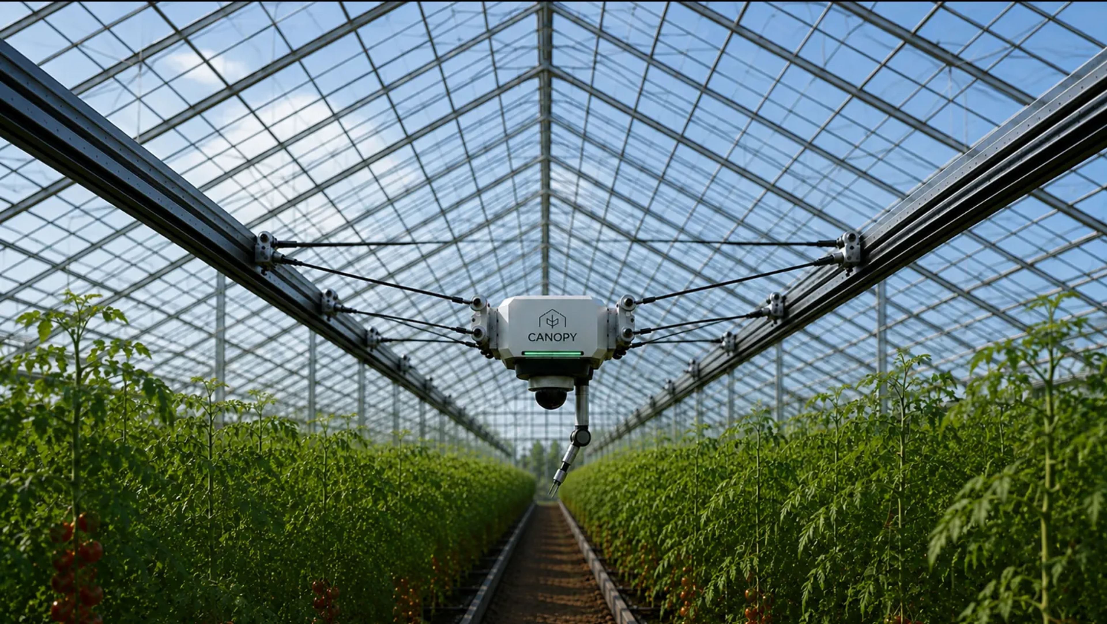 Canopy