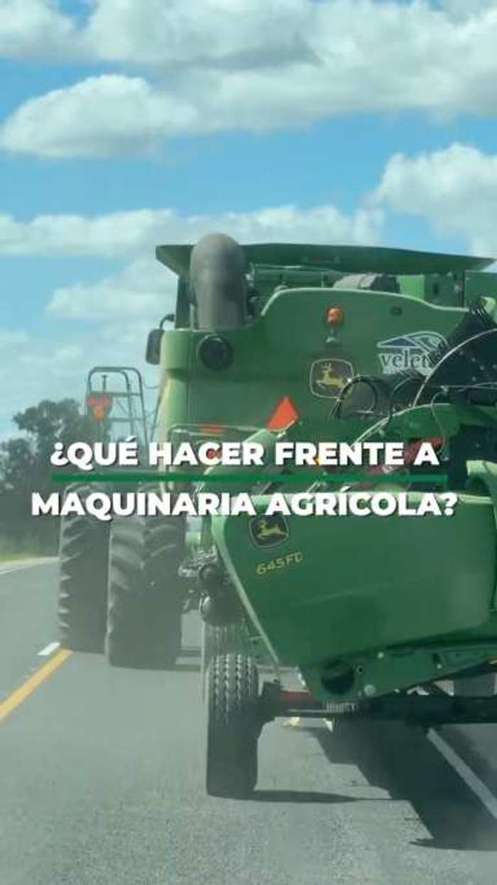 Reel de valor educativo