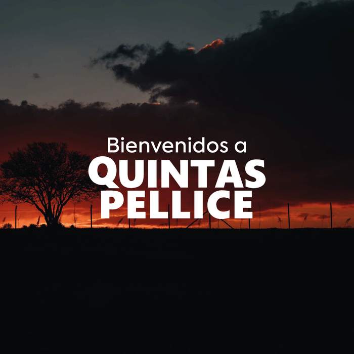 Quintas Pellice