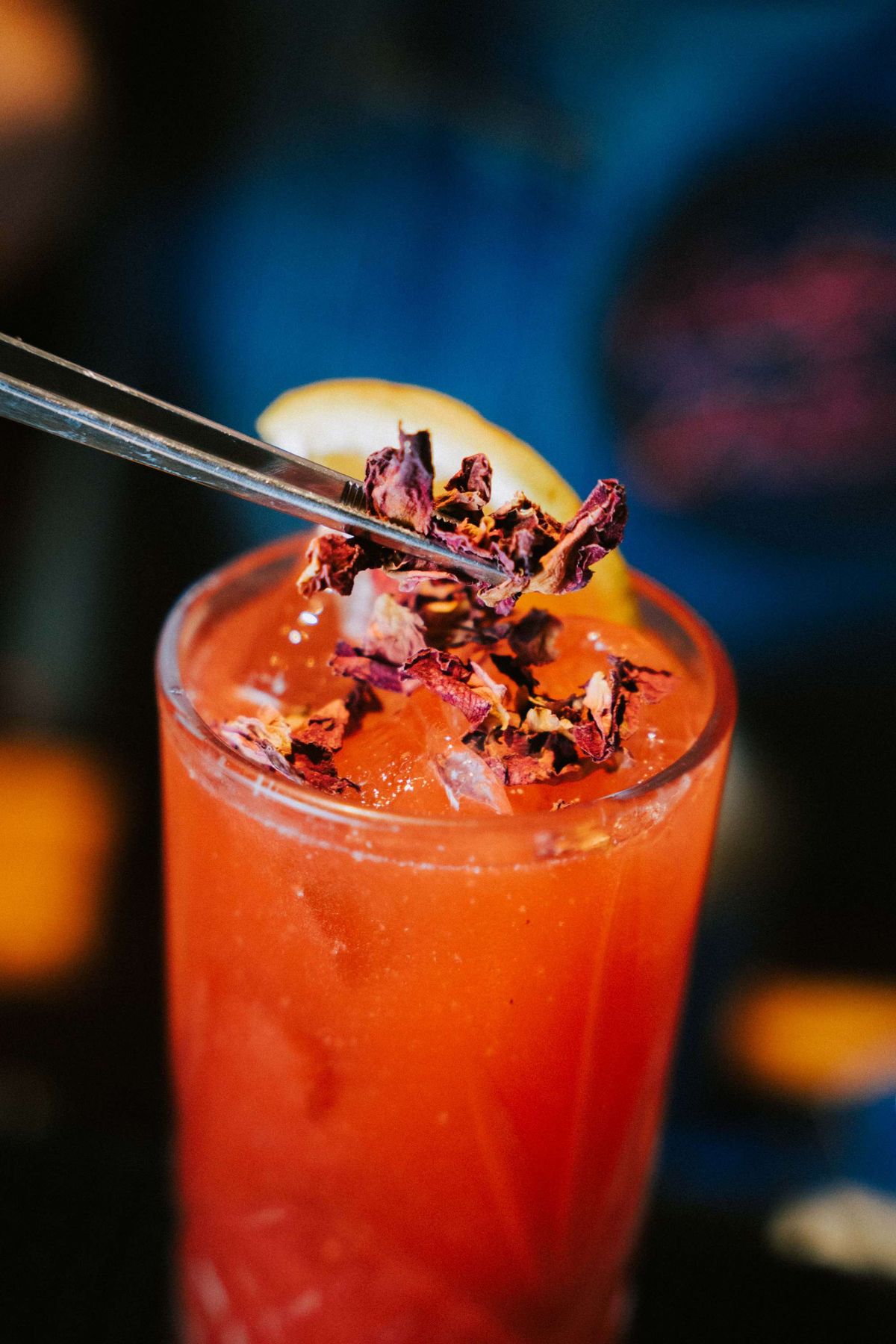 Duna Bar — imagen de galería 4