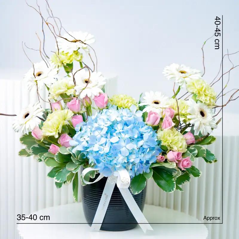 Grace Flowers in Black Ceramic Pot - Flowers gift from Buy Any Flowers Dubai in Al Quoz Industrial Area 4, Dubai, UAE - image 3
