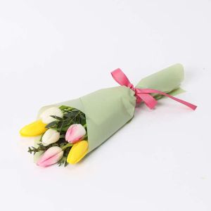 natures-bulb-6-tulips_1.webp