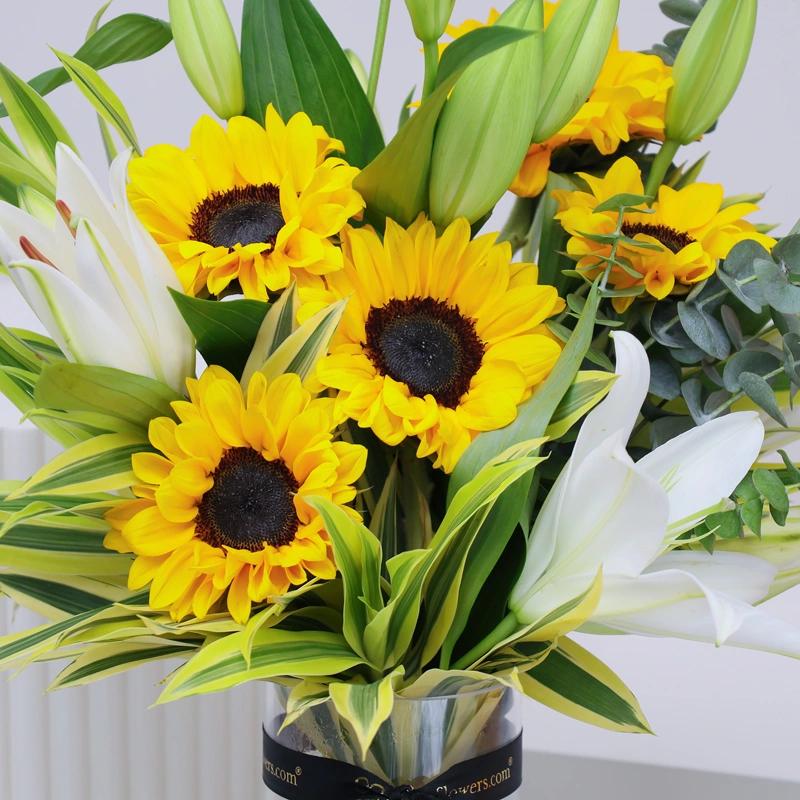Morning Glow in Vase thumbnail 3