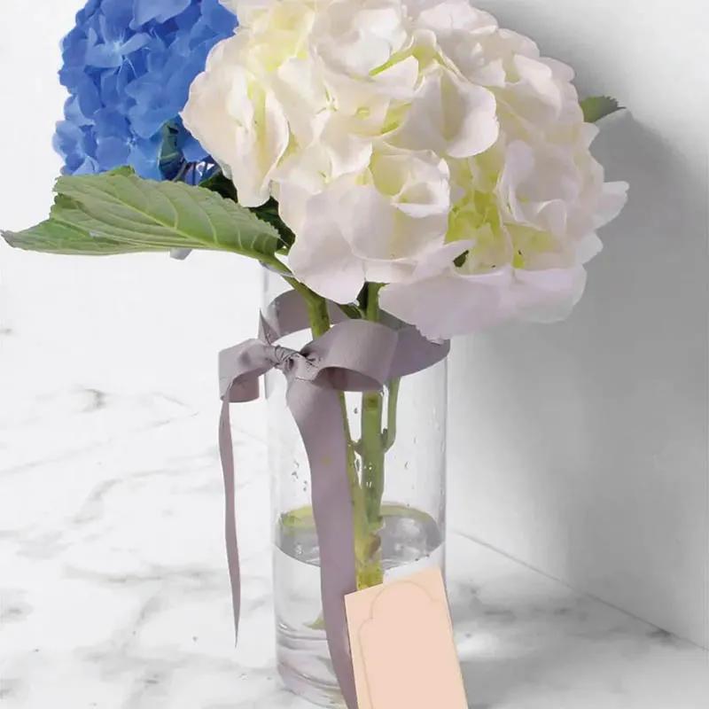 Cloud and Sky thumbnail 3