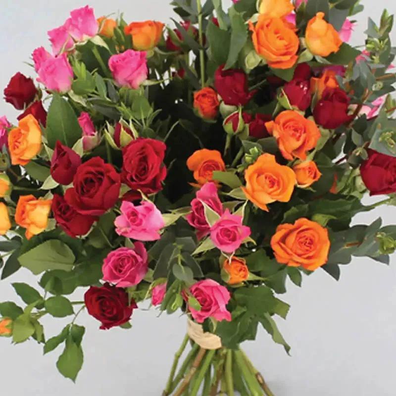 Beautiful Bunch Baby Roses thumbnail 2