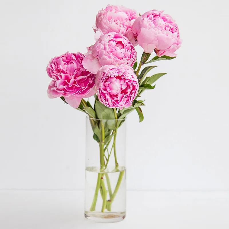 Sweety 5 Pink Peonies Vase - Flowers gift from Buy Any Flowers Dubai in Al Quoz Industrial Area 4, Dubai, UAE