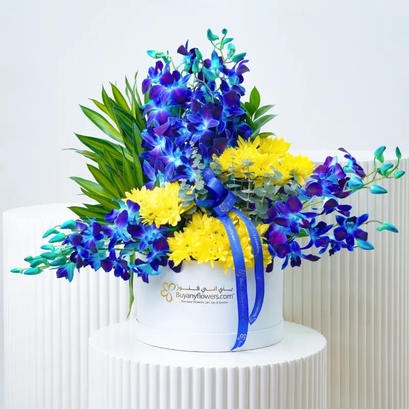 Azure Orchid Flower Box - Flowers gift from Buy Any Flowers Dubai in Al Quoz Industrial Area 4, Dubai, UAE