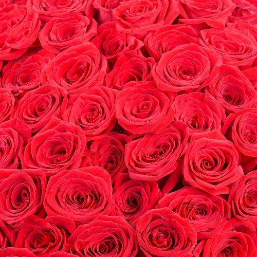 Love Story 151 Red Roses Bouquet - Flowers gift from Buy Any Flowers Dubai in Al Quoz Industrial Area 4, Dubai, UAE - image 3