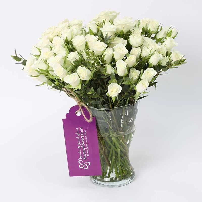 Peace 21 White Baby Roses thumbnail 1