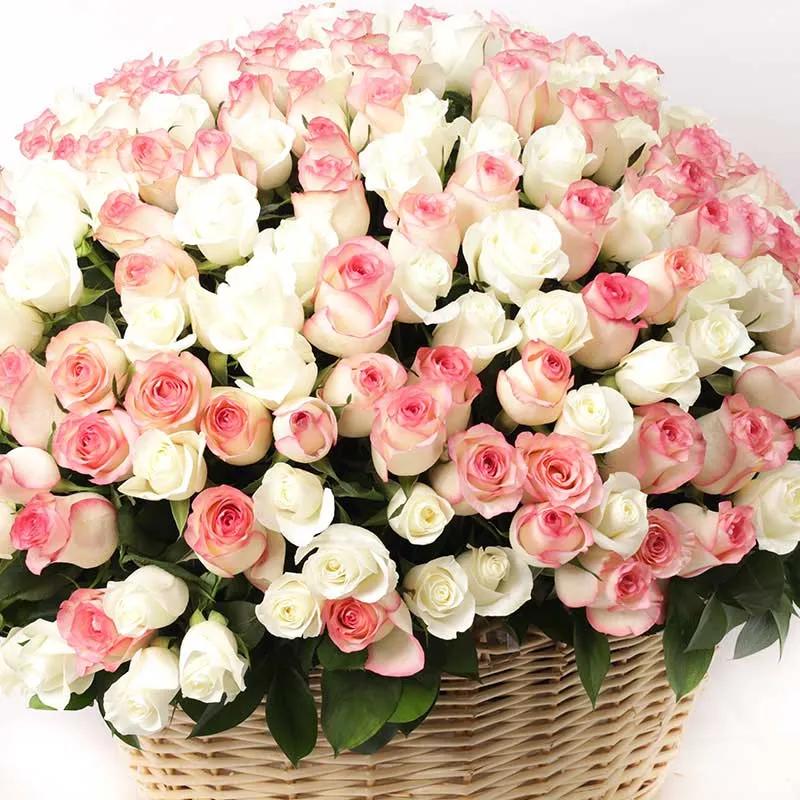 Grand Affection 301 Roses Basket thumbnail 2