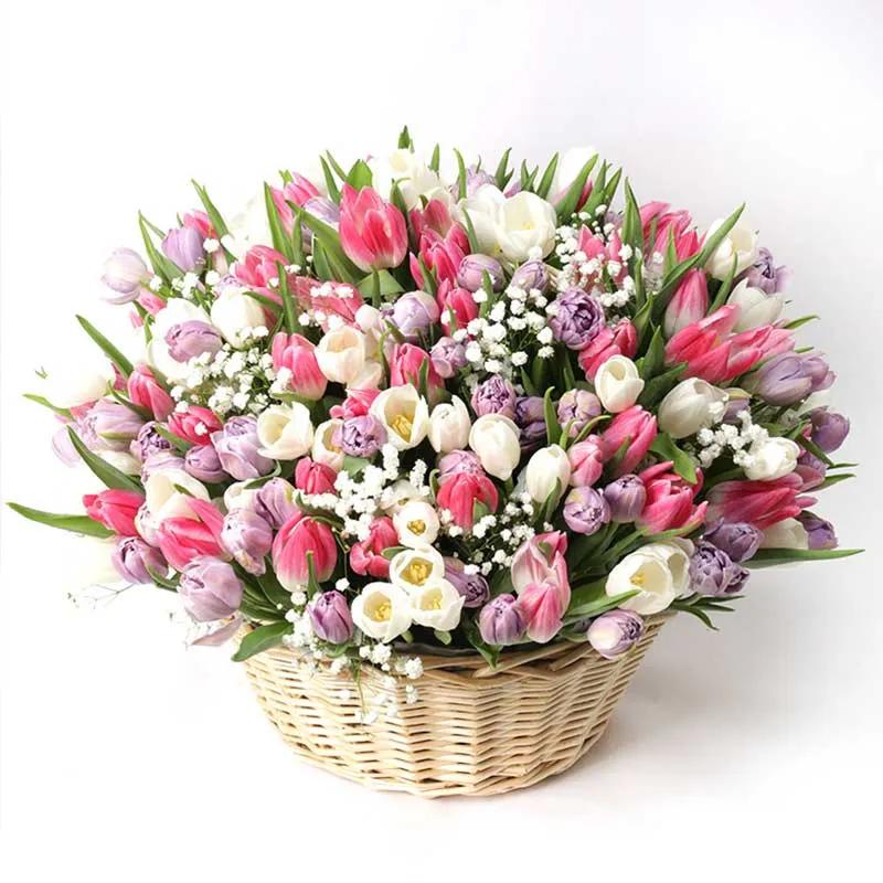 magnificent-201-tulips-basket_1.webp