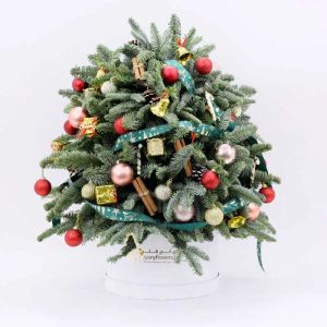 christmas-tree-shape-arrangement_1.webp