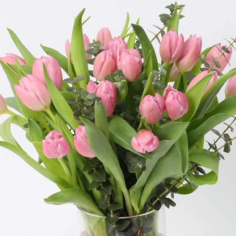Blush 21 Pink Tulips - Flowers gift from Buy Any Flowers Dubai in Al Quoz Industrial Area 4, Dubai, UAE - image 3
