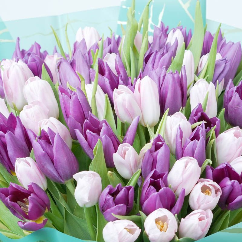 باقة تعبر عن "الحلاوة تتكون من 101"من  أزهار  التوليب باللونين الوردي والبنفسجي – تجمع بين الرقة والفخامة لتعبّر عن المشاعر الجميلة بأسلوب أنيق ومفعم بالأنوثة. thumbnail 3