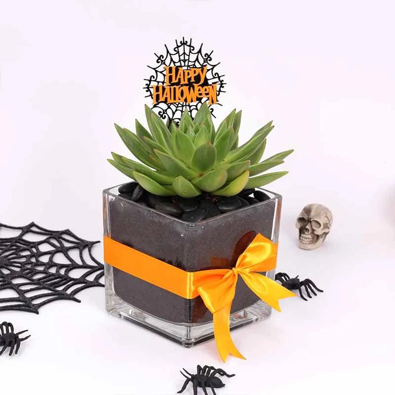 halloween-echeveria-plant_1.webp