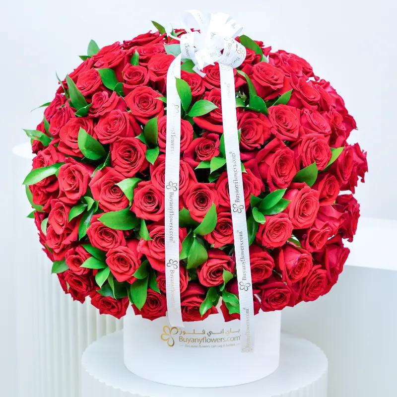 Blush 151 Red Roses Box - Flowers gift from Buy Any Flowers Dubai in Al Quoz Industrial Area 4, Dubai, UAE