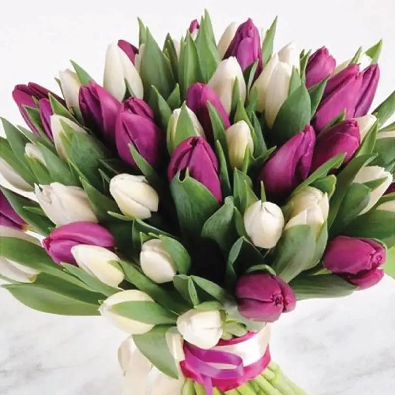 Purple and White Bliss thumbnail 2