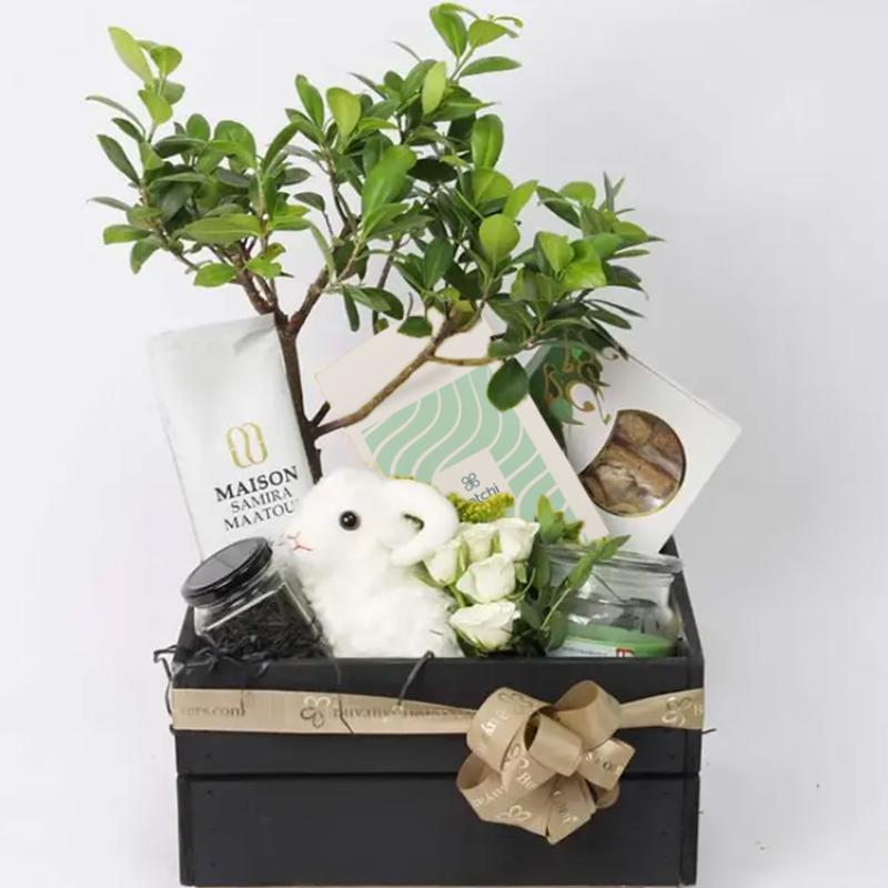 Long Lasting Wishes thumbnail 2