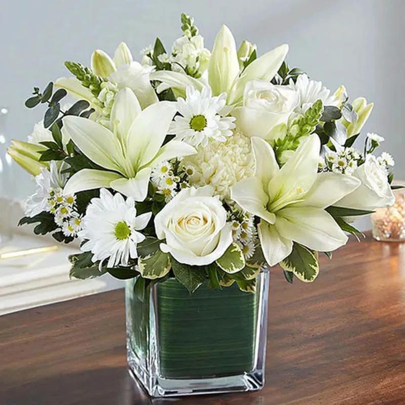 healing-sorrow-all-white_1.webp