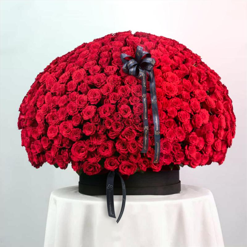 My Love 501 Red Roses Arrangement in Dubai