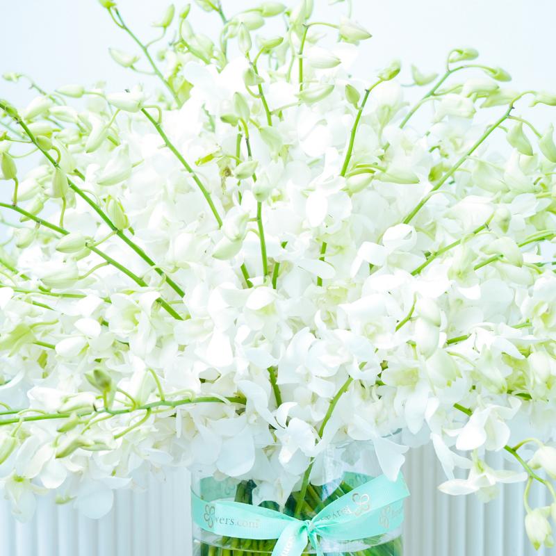 Bianca 101 Orchids - Gifts gift from Buy Any Flowers Dubai in Al Quoz Industrial Area 4, Dubai, UAE - image 3