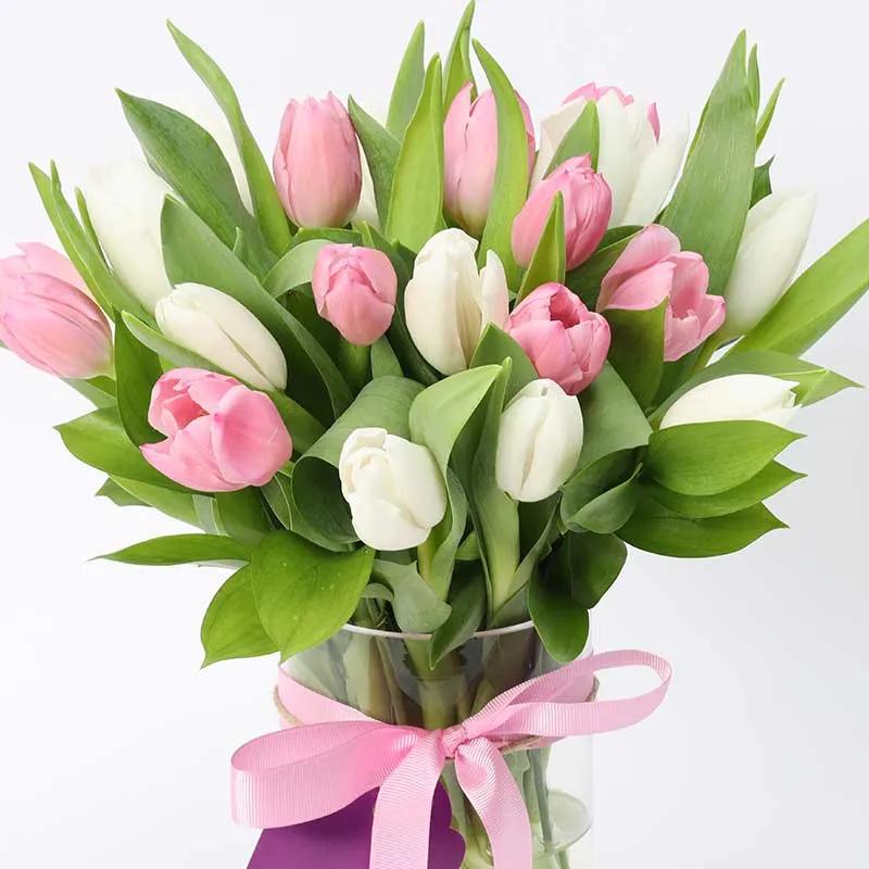 Calm and Beauty 21 Tulips thumbnail 3