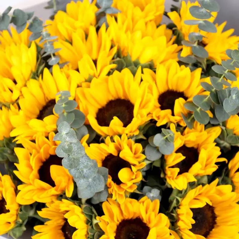 Symphony 21 Sunflower Bouquet - Flowers gift from Buy Any Flowers Dubai in Al Quoz Industrial Area 4, Dubai, UAE - image 4