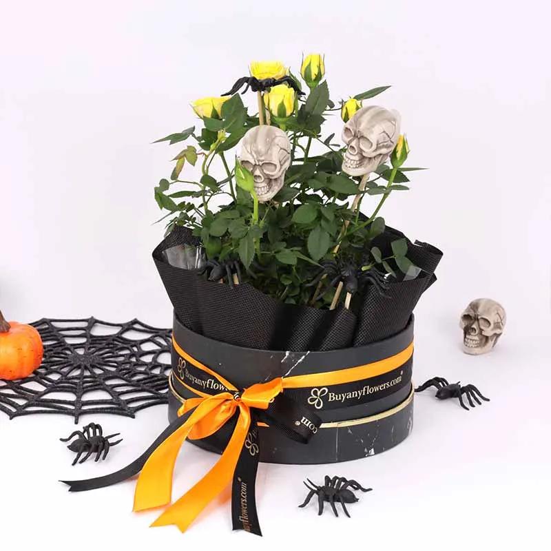 Halloween Yellow Rose Plant in Dubai