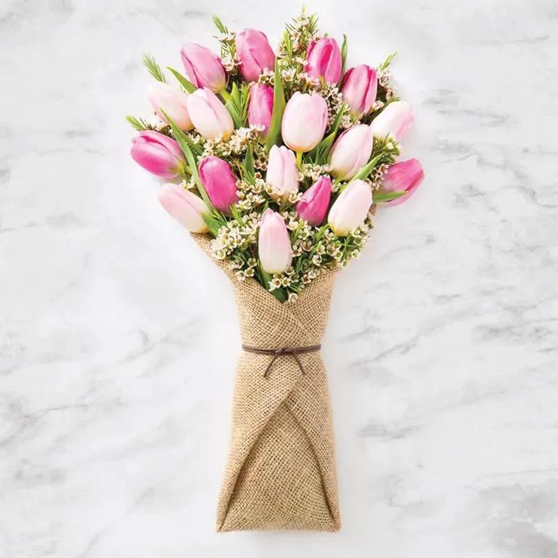 study-in-pink_1.webp
