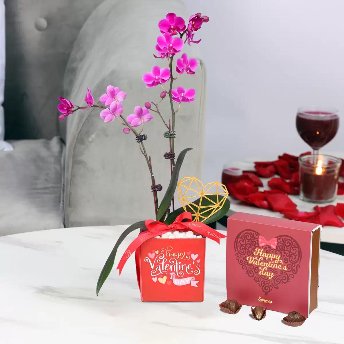 valentine2stemminipurpleorchidplantandsweechochocolates16pcs_e81376.webp
