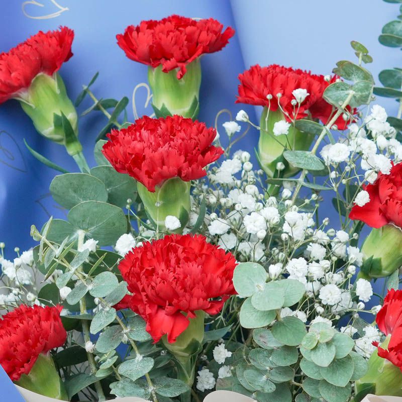 Love 11 Red Carnations Bouquet thumbnail 3