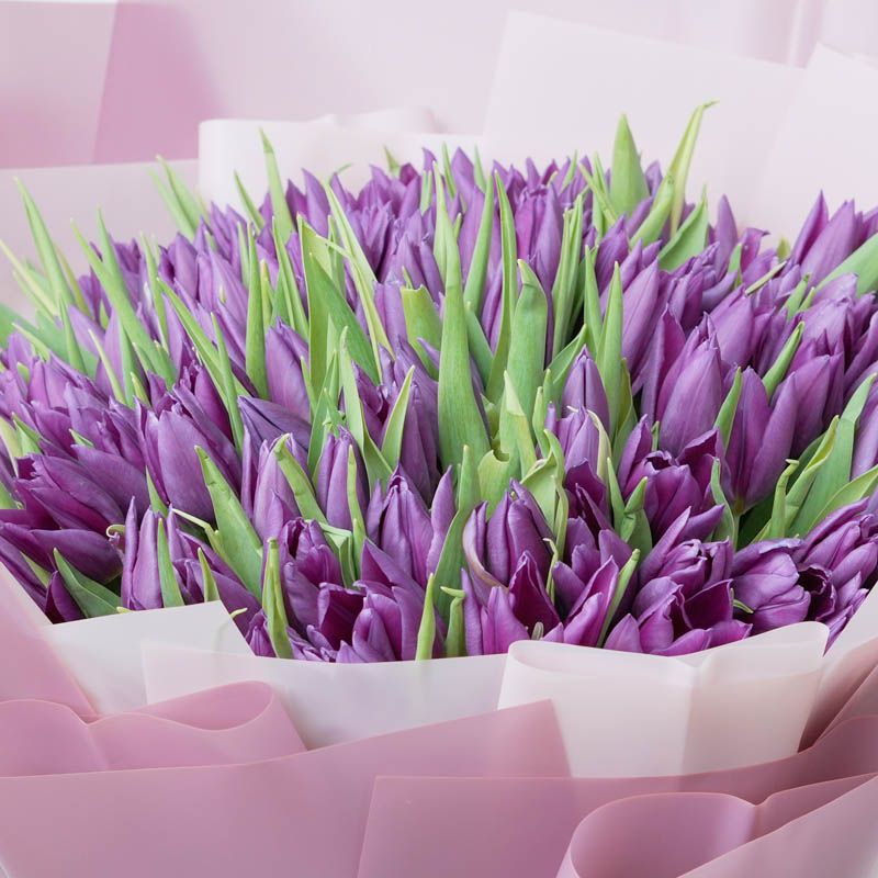 Purple Beauty 101 Tulips Bouquet thumbnail 3